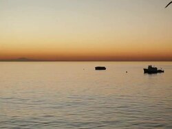 WS View of two boats on ocean and seagulls flying over water at dawn / Malibu, California, United States Stock Footage