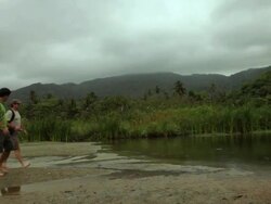 MS PAN Travelers stopping to watch seagulls birds / Tyrona N. Park, Magdalena, Colombia  Stock Footage