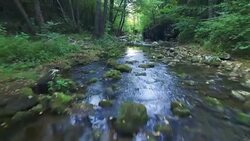 Flight above the forest river Stock Footage