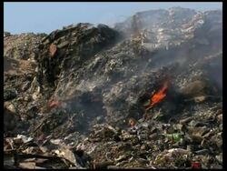 Bodies piling up on streets in Carrefour taken to rubbish dump News Clip