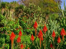 Botanical Gardens Stock Footage