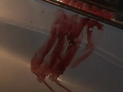 MS ZI ZO PAN Shot of Mexican CSI examine in car AUDIO / Ciudad Juarez, Juarez, Mexico Stock Footage