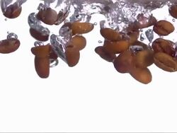 Coffee Beans Splashing Into Water (Super Slow Motion) Stock Footage