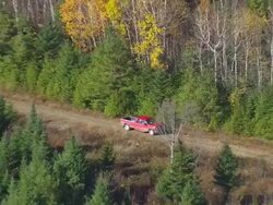 WS ARIEAL View of One car moving in forest area / Maine, United States Stock Footage