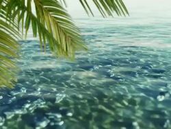 Tropical water. Loop Stock Footage