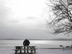 Winter On The Beach Stock Footage