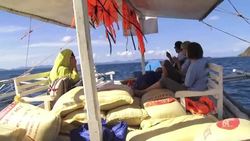 Four Paws International ha prometido continuar el suministro de alimentos y medicinas para estos animales. News Clip