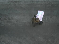 HD CRANE: Businesswoman Got Lost In The City Stock Footage