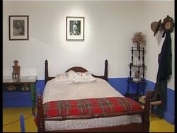 Famous painter's house under extensive renovation News Clip