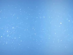 Real snow flakes falling down - loopable, HD Stock Footage