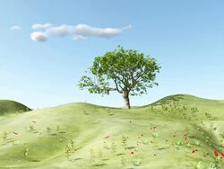 Paper plane and garden. Stock Footage