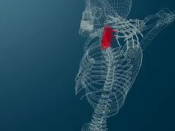Wireframe 3d animation of skeleton with neck pain. Blue background. Stock Footage