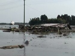 Japanese towns become mud-strewn wastelands News Clip