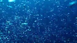 Bubbles moving in the deep water Stock Footage