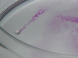 Sodium metal reacting with water. Stock Footage