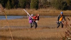 Hurricane Sleuth Instructional Video