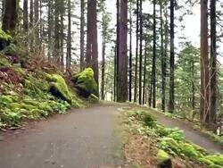 Jogging Stock Footage