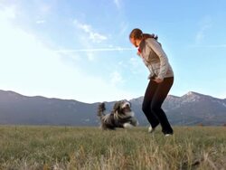 HD Super Slow-Mo: Young Woman Playing With Her Dog Stock Footage