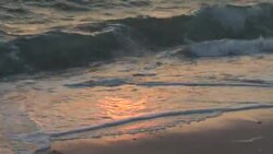 HD: Beach Stock Footage