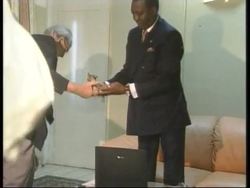 Discovery of fossil skull shifts theories of evolution News Clip