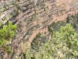 Shadow in the Canyon Stock Footage