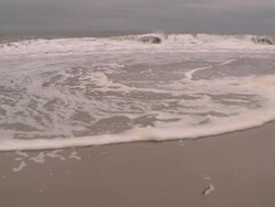 north florida beach Stock Footage