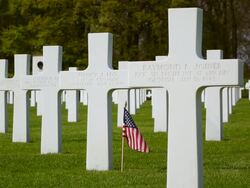MS View of American war cemetery site and country flag / Sandweiler, Luxembourg Stock Footage