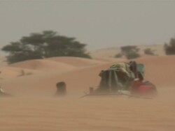 MS ZO Woman been carried over camels / Atar, ADRAR, Mauritania Stock Footage