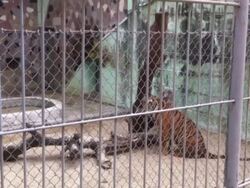 General tourism stockshots of Vietnam. News Clip