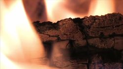 Biomass Energy Instructional Video