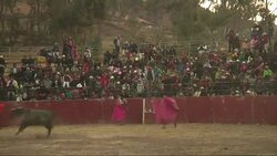 Economic crisis makes European bullfighters migrate to Peru Instructional Video