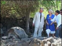 UK prince and wife tour islands;  meet 'Lonesome George' News Clip