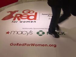 Go Red For Women National Casting Call Stock Footage