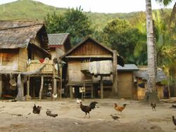 MS SLO MO Shot of primitive looking structures with chickens pecking intensively in front side / Muang Ngoi, Luang Prabang, Laos Stock Footage