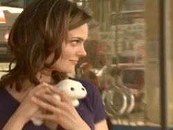 Celebrity Save The Seal Day: Press Conference Hosted by Celebrities Against The Seal Hunt Stock Footage