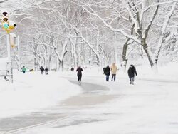 February 2013 winter storm, Central Park, NYC Stock Footage
