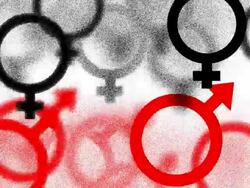 FEMALE / MALE : male_red, white back - (TRANSITION) Stock Footage