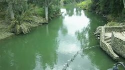 Yardenit - River Jordan Stock Footage