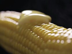 Hot Corn Stock Footage