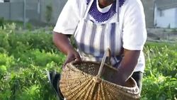 Video Portrait African Farmer Stock Footage