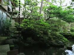MS PAN Garden of wooden old house for samurai,Buke yashiki / Kanazawa, Ishikawa, Japan Stock Footage