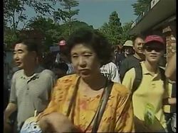 TAIWAN: KOALA BEAR MANIA AT TAIPEI ZOO News Clip