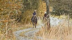Two herdsmen riding horses along a country road Stock Footage