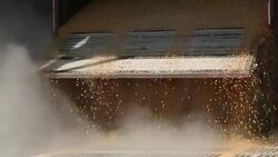 Corn processing factory Stock Footage