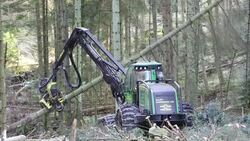 A forwarder, a specialist logging machine cutting down timber in Grizedale Forest, Lake District, Cumbria, UK. Stock Footage