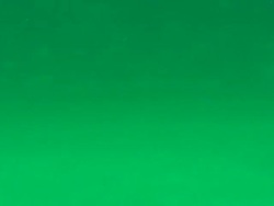 Artificial Coral Reefs being Built in the Gulf News Clip