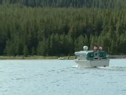 MS ZO PAN Motorboat leaving Harbourand and view of entire Lake and surrounding Mountains / Jasper, Alberta, Canada  Stock Footage