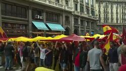 CLEAN : People in Barcelona gather to show support for a united Spain News Clip