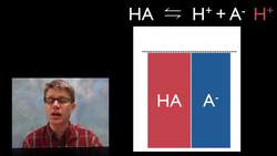 pH and Buffers Instructional Video
