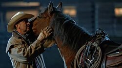 SLO MO DS Cowboy stroking his horse in the evening Stock Footage
